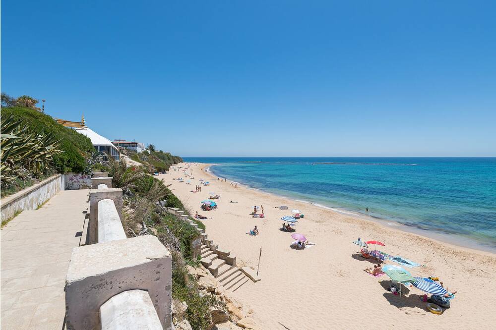 Photo of Others in Brena y Marismas de Barbate Natural Park