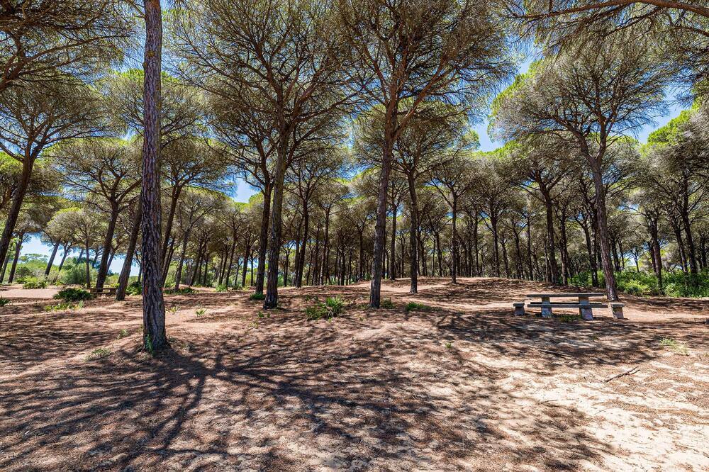 Photo of Others in Brena y Marismas de Barbate Natural Park