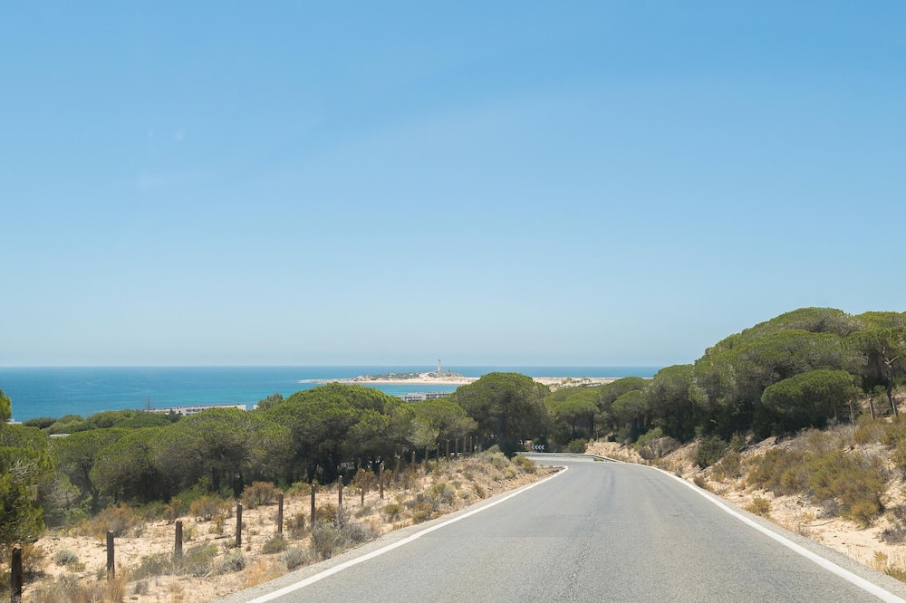 Photo of Others in Brena y Marismas de Barbate Natural Park