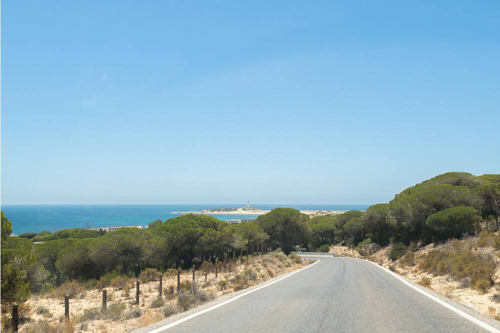 Photo of Others in Brena y Marismas de Barbate Natural Park
