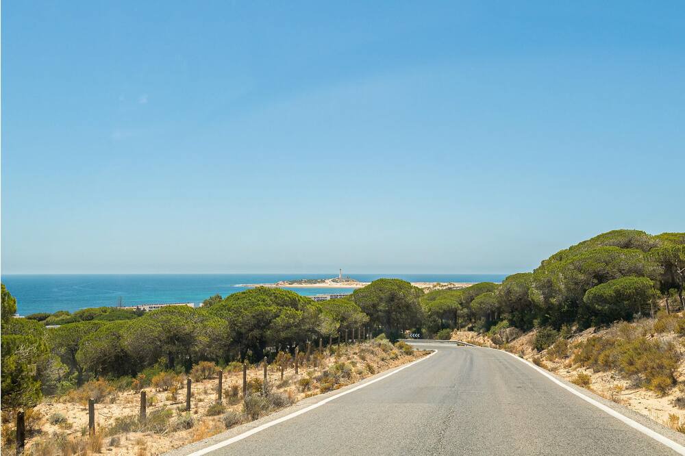Photo of Others in Brena y Marismas de Barbate Natural Park