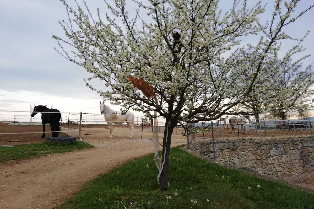 Photo of Outdoor in Oettingen in Bayern