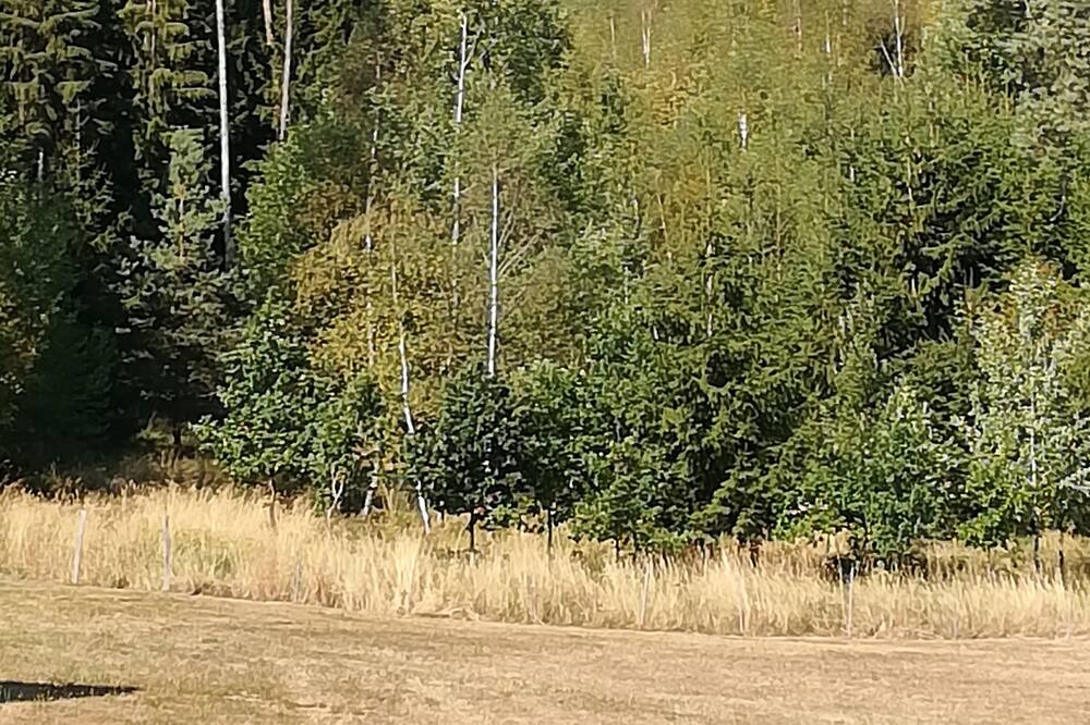 Photo of Outdoor in Herrieden