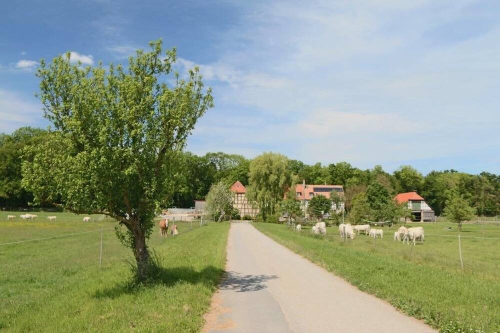 Photo of Outdoor in Iphofen