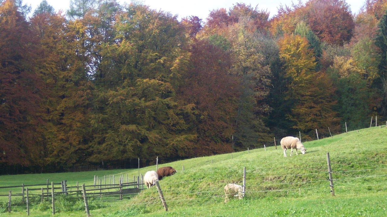 Photo of Others in Eurasburg