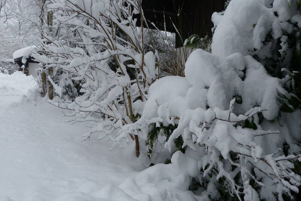 Photo of Outdoor in Zenting