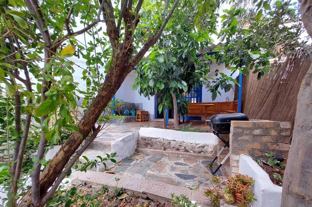 Photo of Outdoor in Agaete