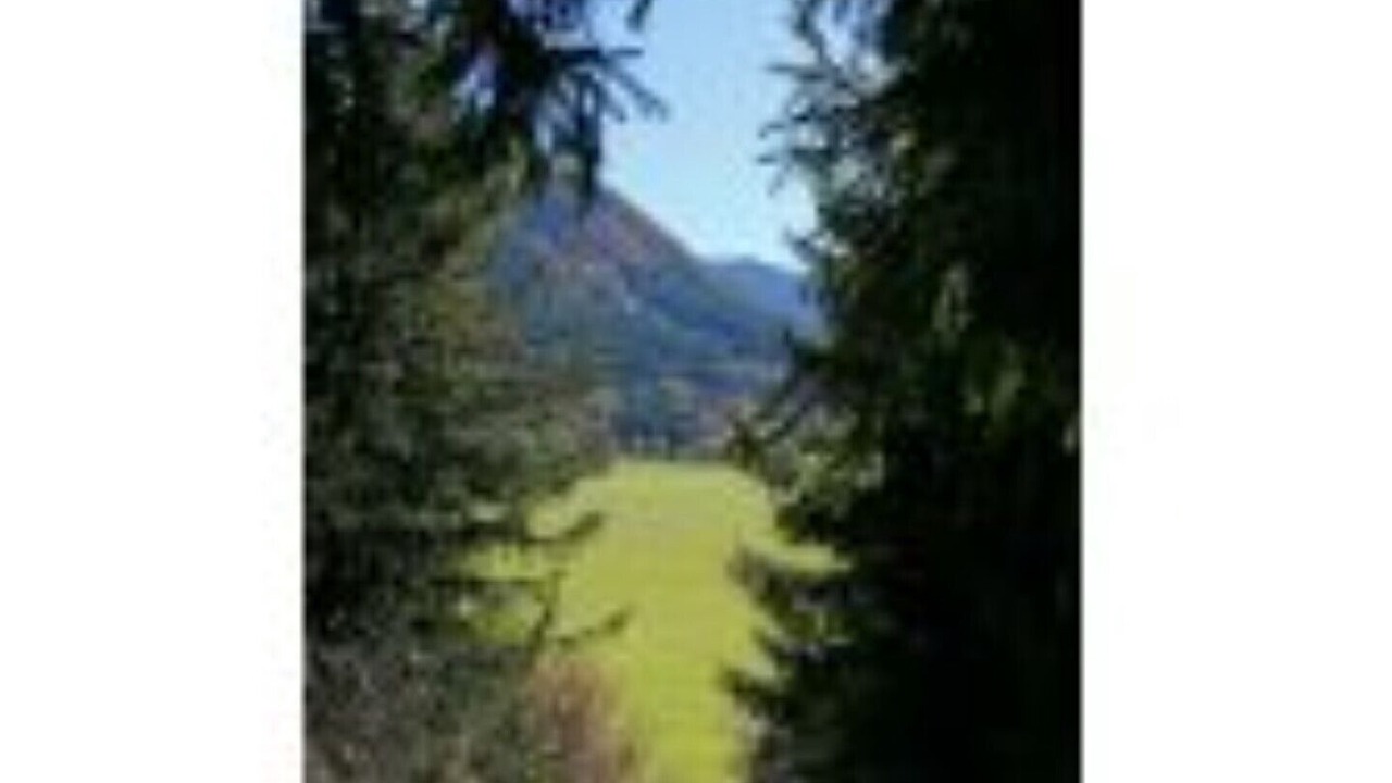 Photo of Others in Halblech