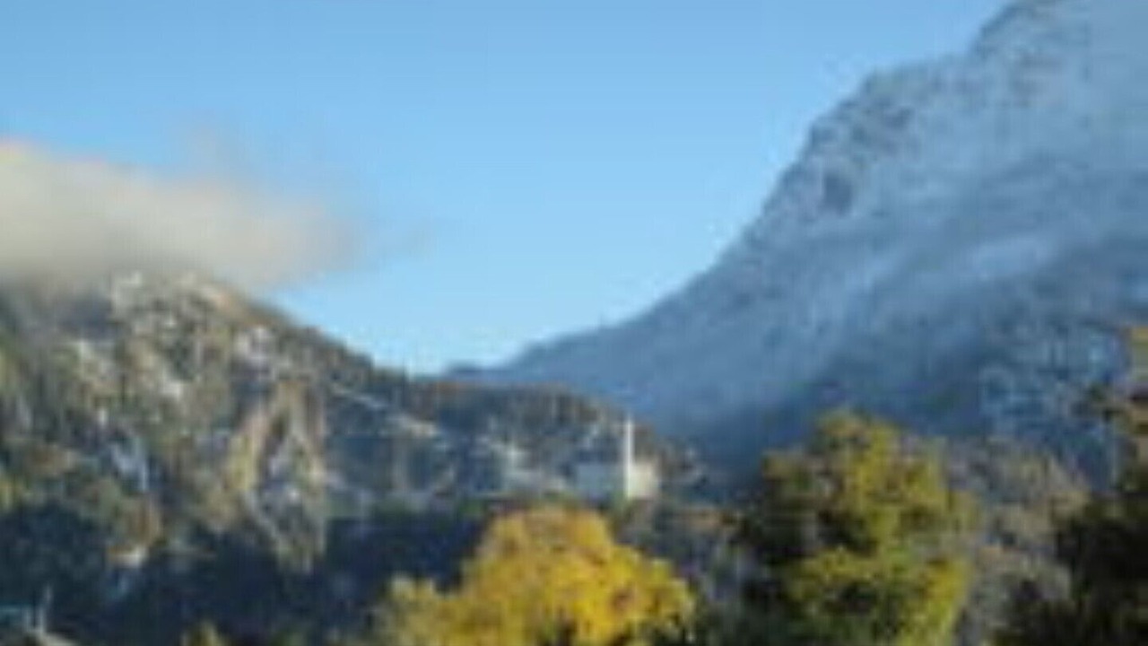 Photo of Others in Halblech