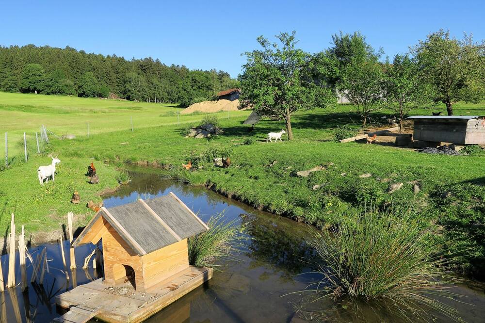 Photo of Outdoor in Kollnburg