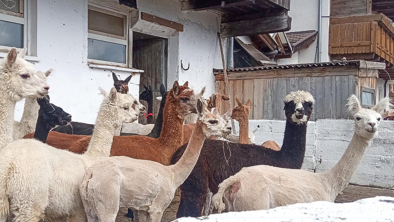 Photo of Outdoor in Maranza