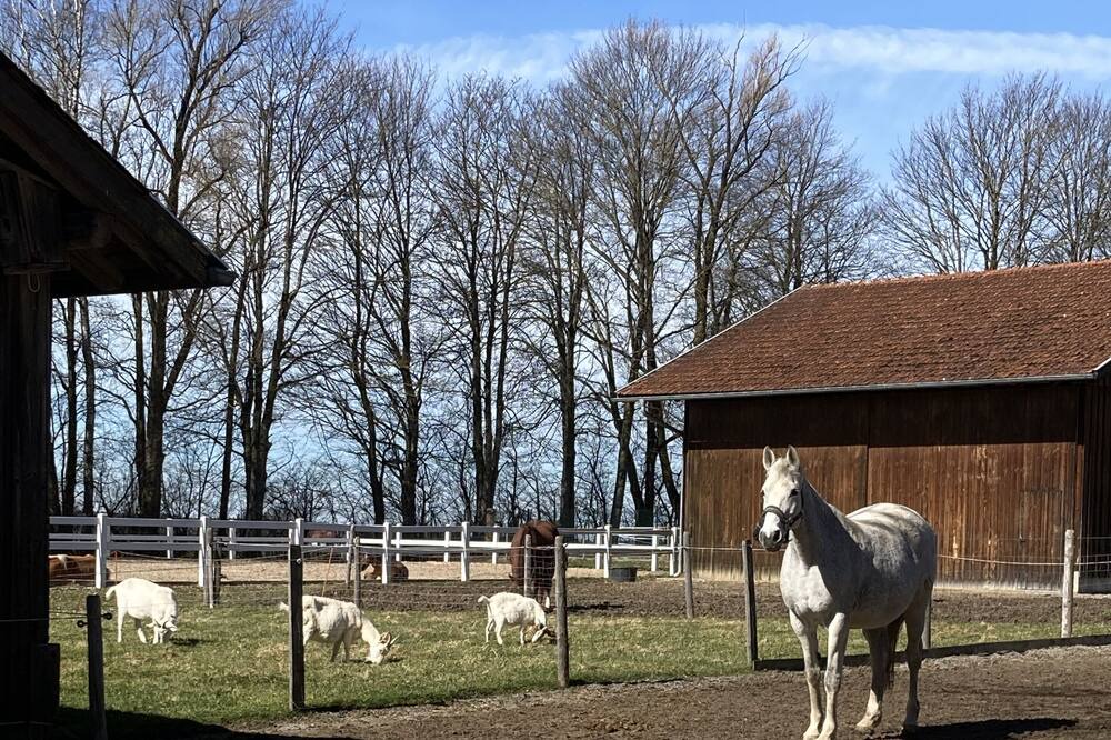 Photo of Outdoor in Obergunzburg