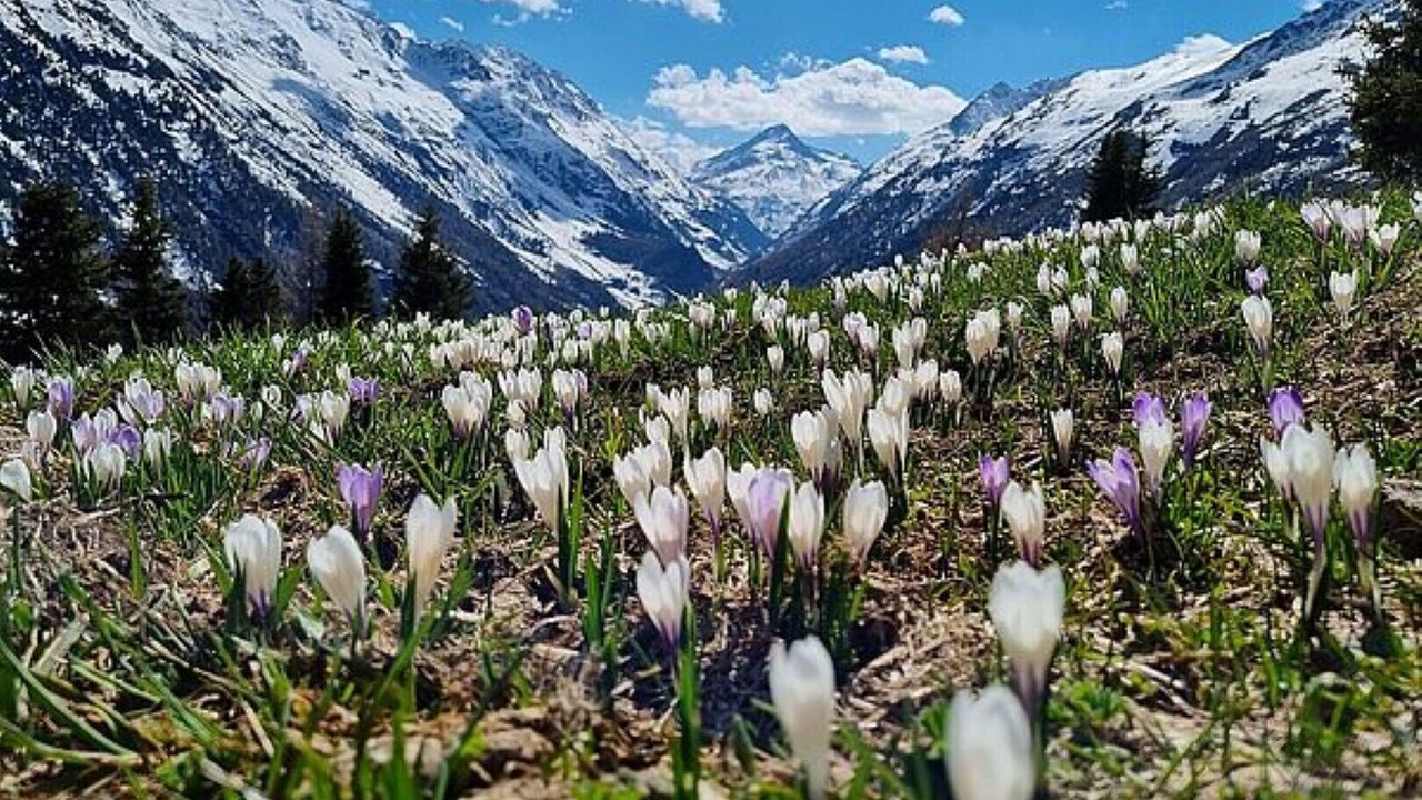 Photo of Others in Soelden