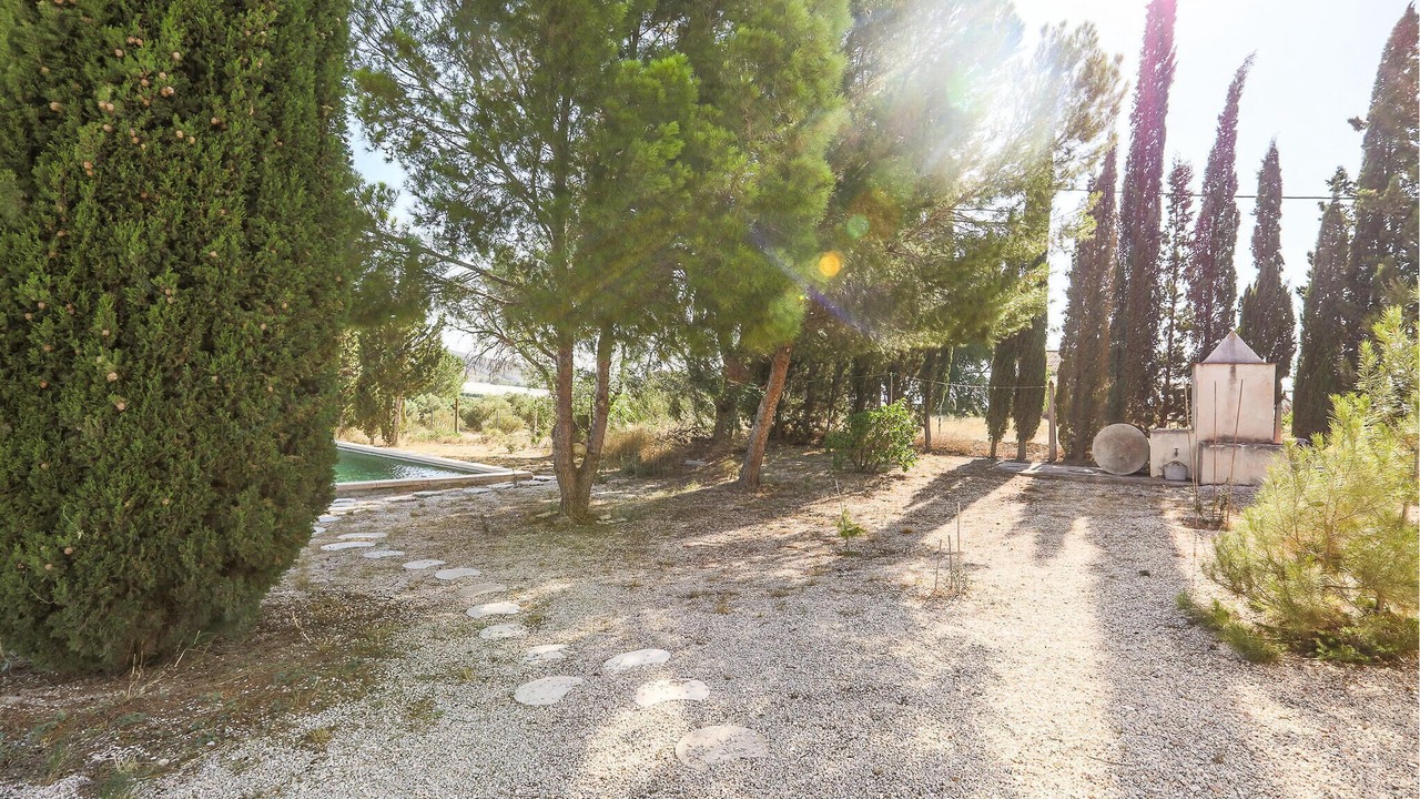 Photo of Outdoor in Cieza