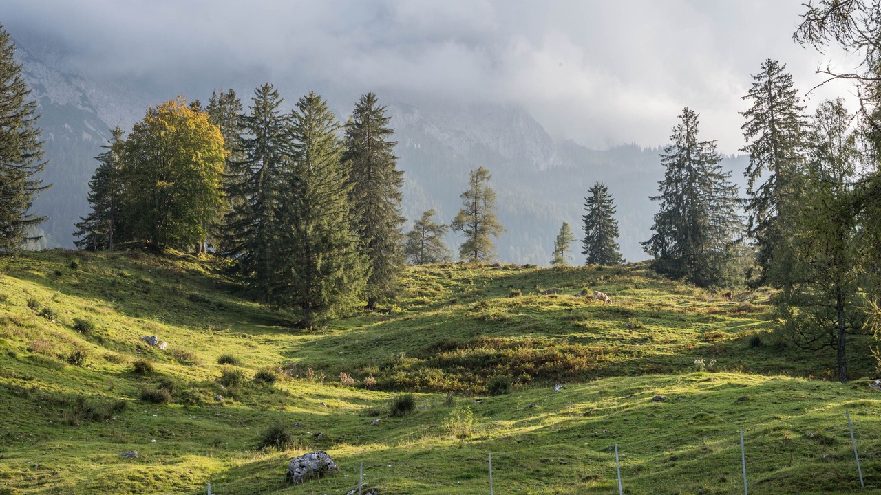 Photo of Outdoor in Furstenfeldbruck District