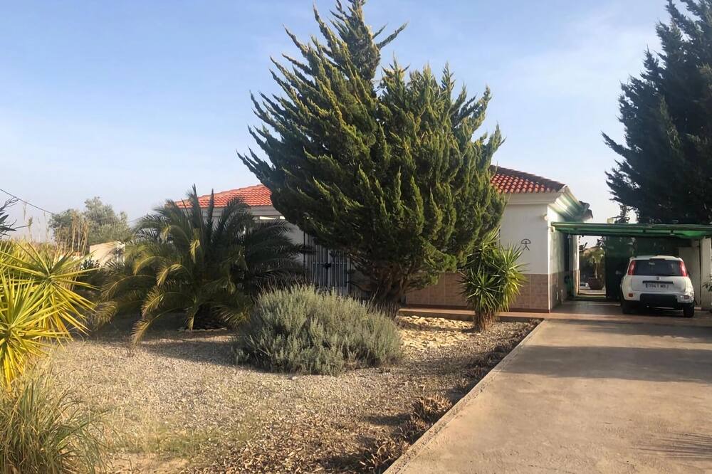 Photo of Outdoor in Locaiba