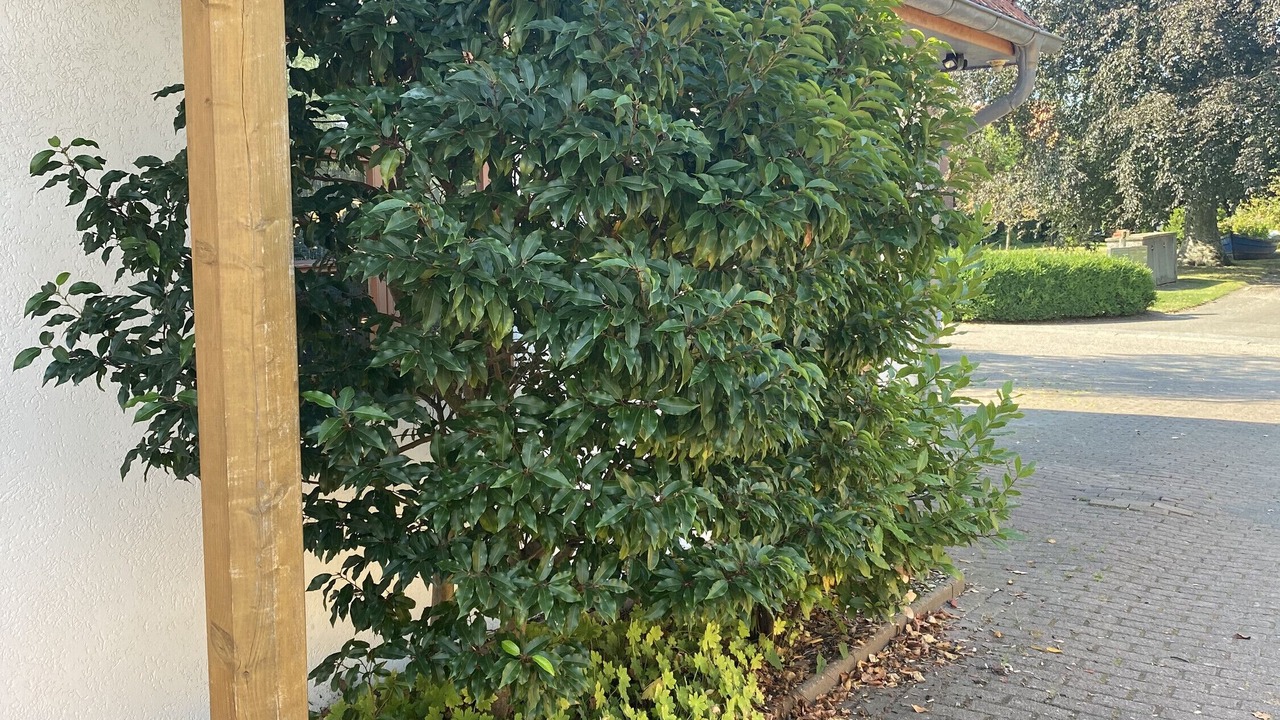Photo of Outdoor in Schulp