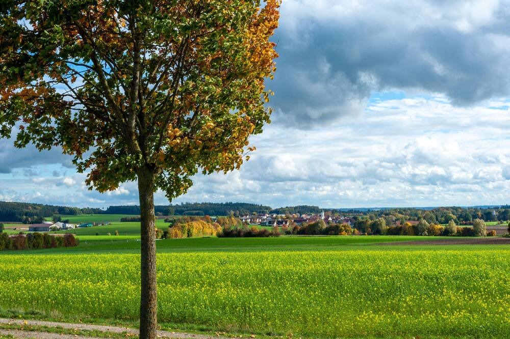 Photo of Others in Haunsheim