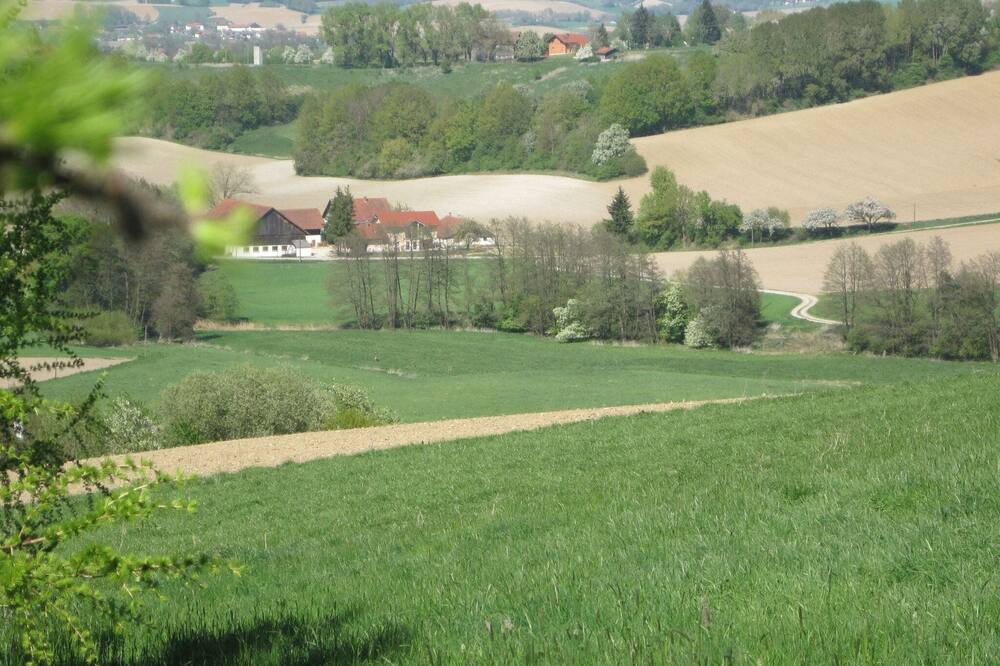 Photo of Others in Rotthalmuenster