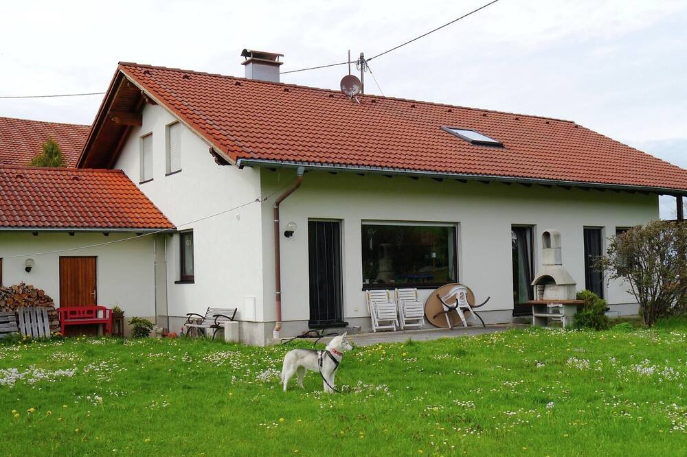 Photo of Outdoor in Feld