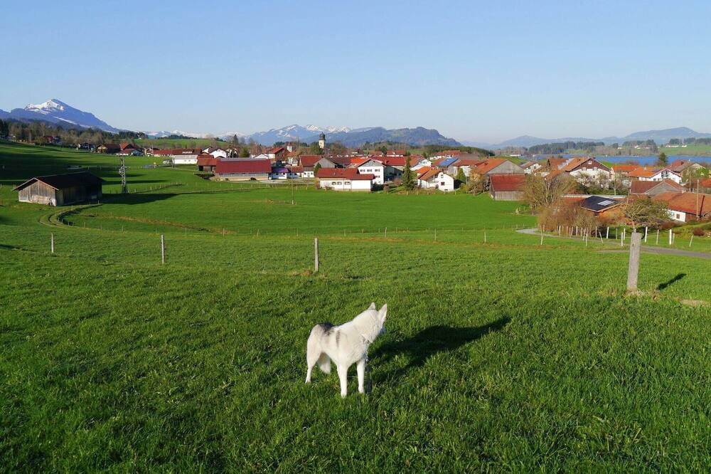 Photo of Others in Feld