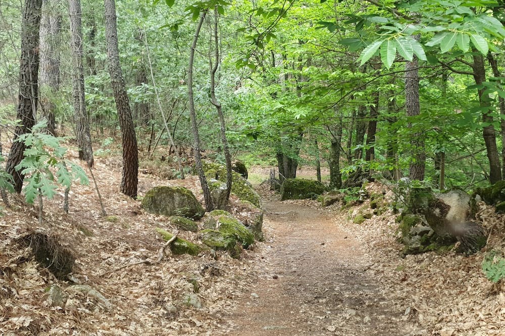 Photo of Outdoor in Casillas