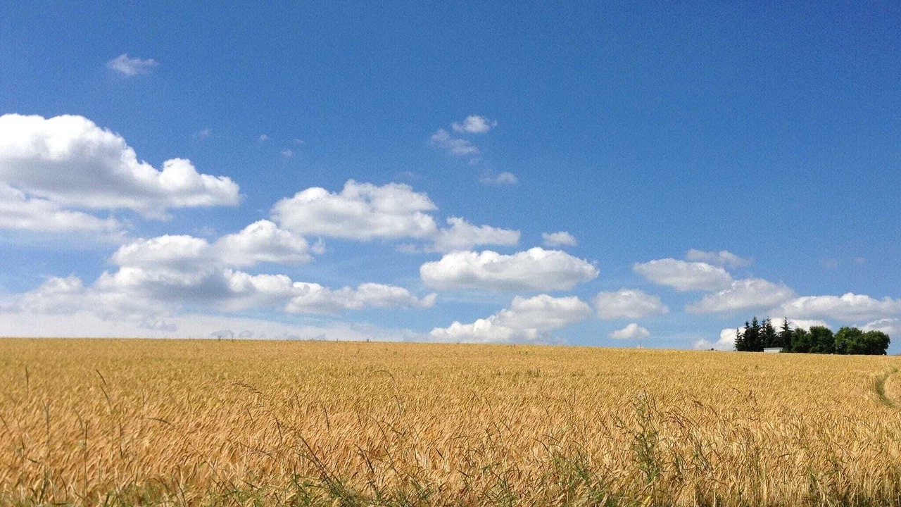 Photo of Outdoor in Prunn