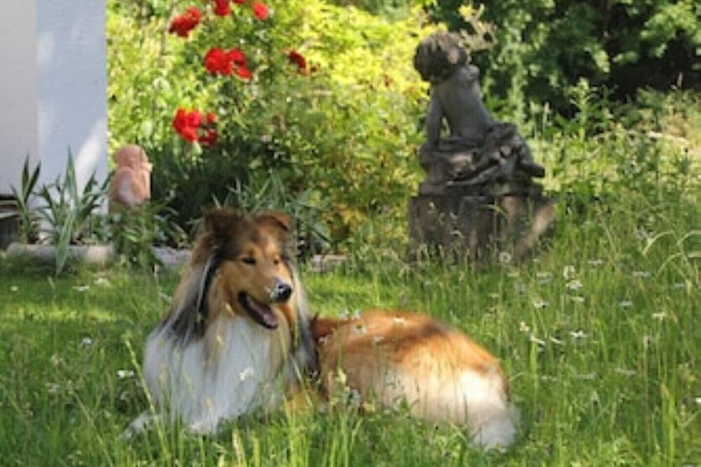 Photo of Outdoor in Sankt Valentin