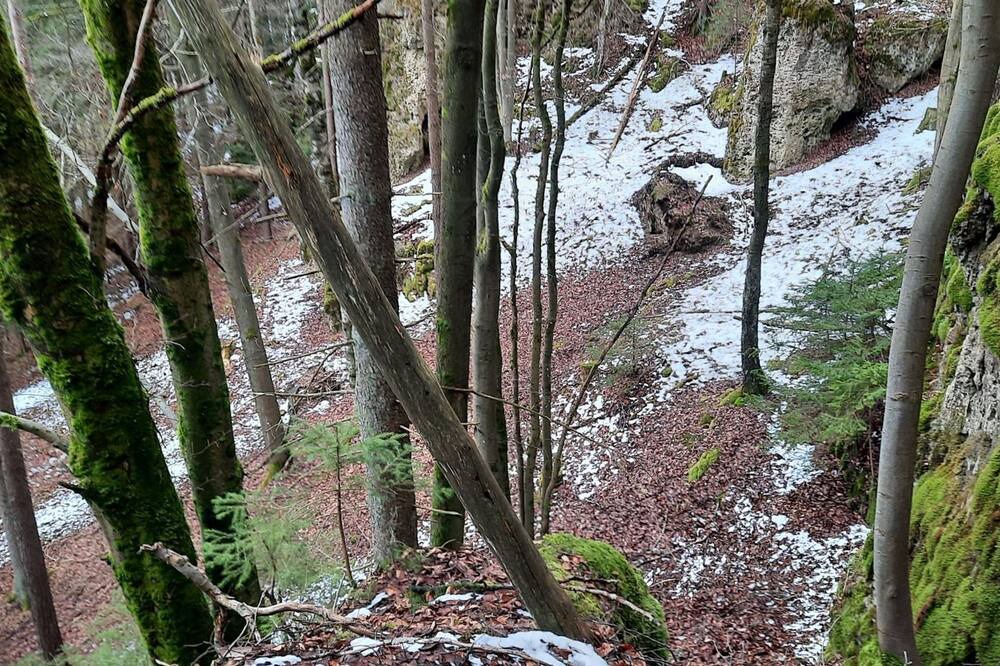 Photo of Others in Waischenfeld