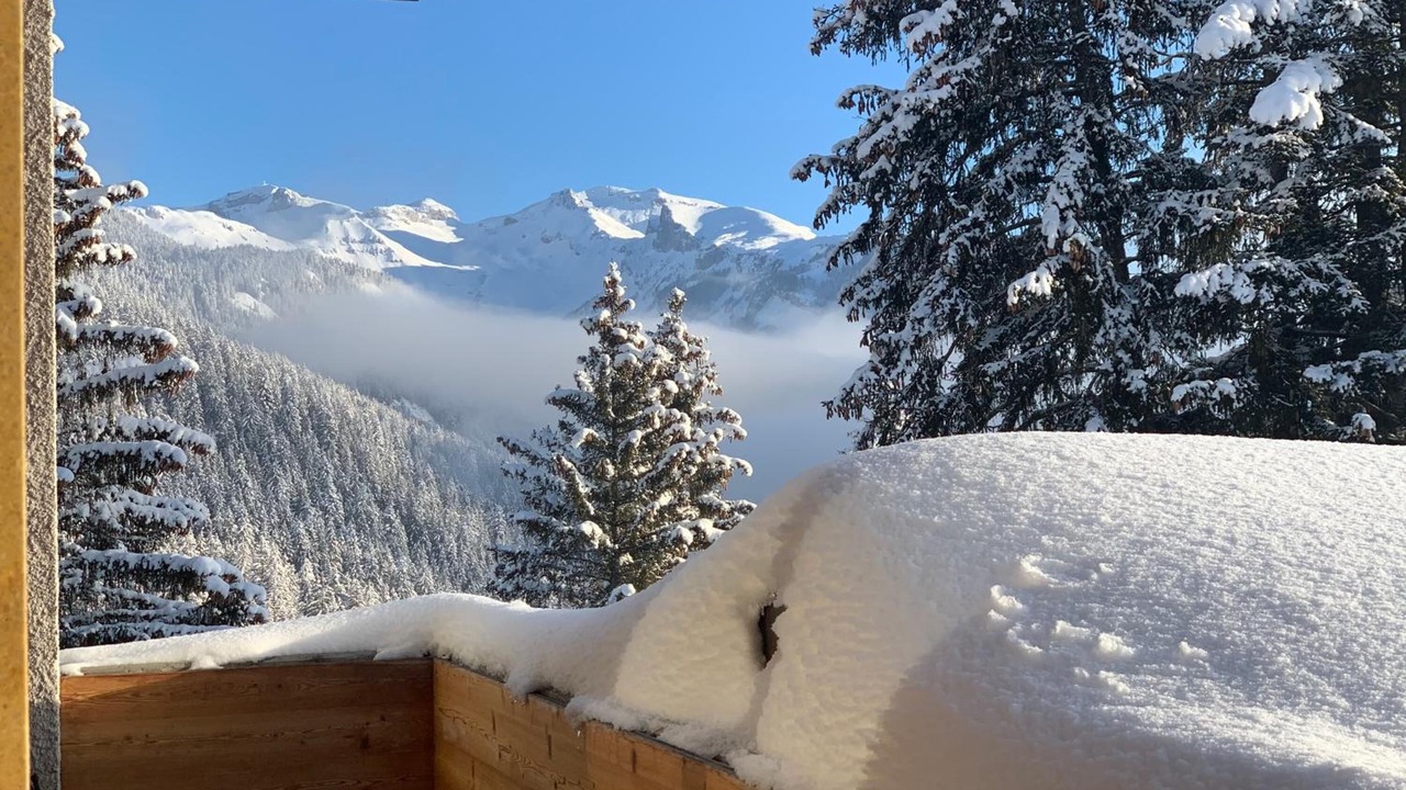 Photo of Patio Balcony in Anzere