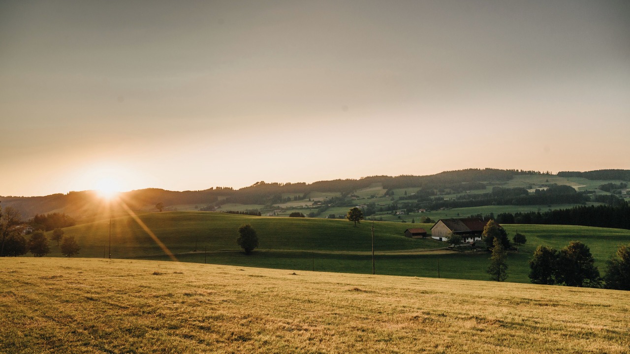 Photo of Others in Weitnau