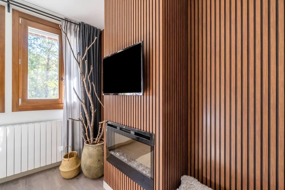 Photo of Livingroom in Benasque