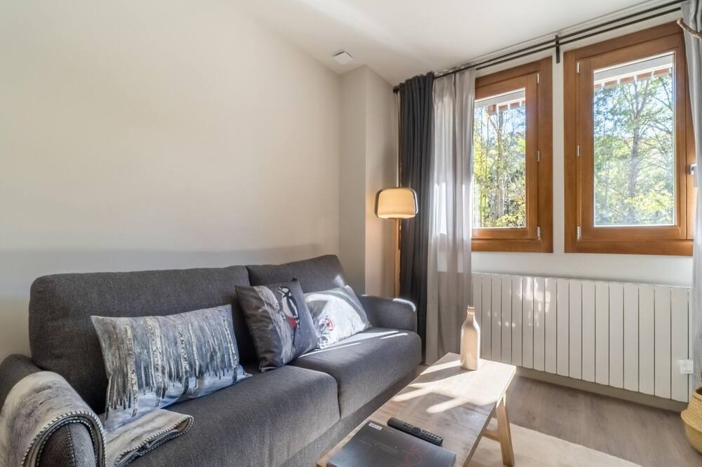 Photo of Livingroom in Benasque