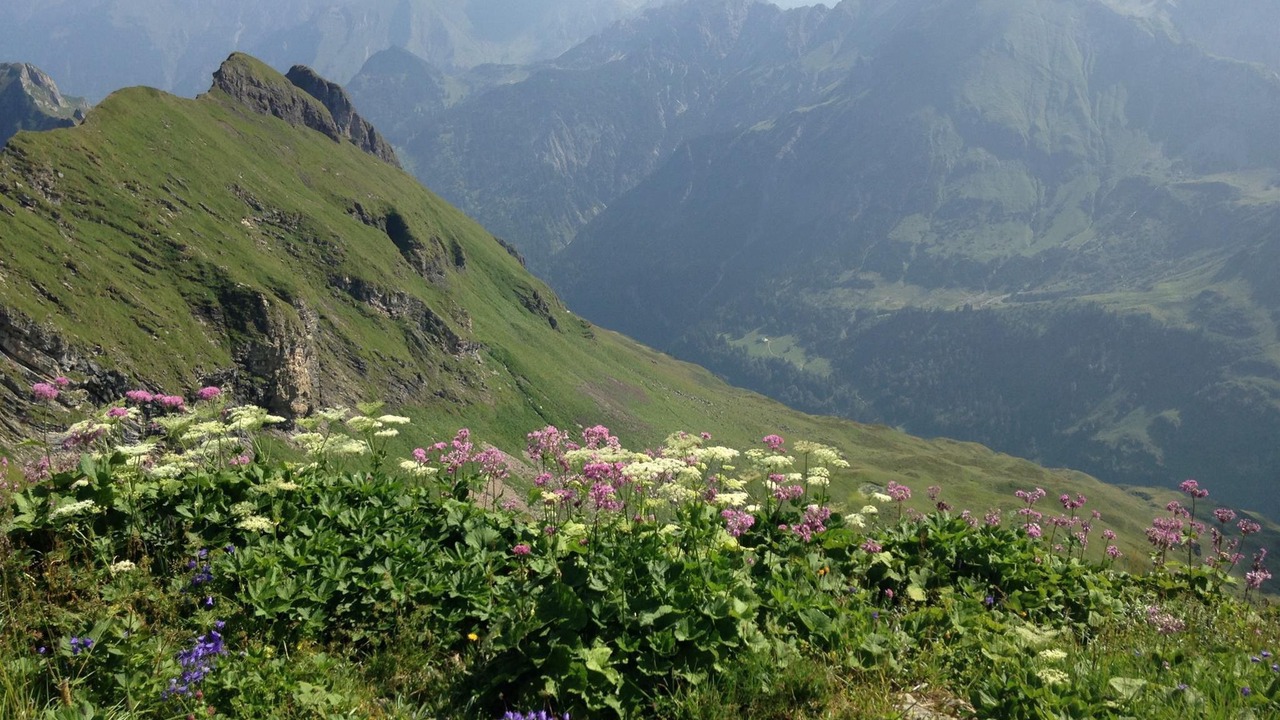 Photo of Others in Bad Oberdorf