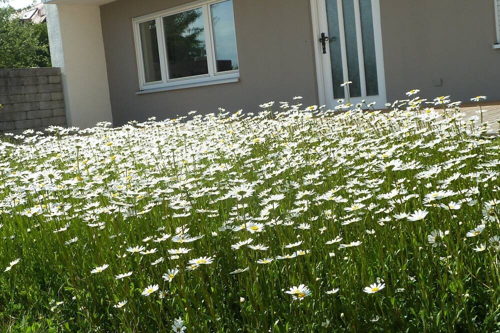 Photo of Outdoor in Haunsheim