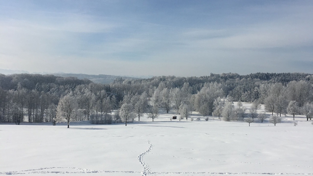 Photo of Others in Ebersberg District