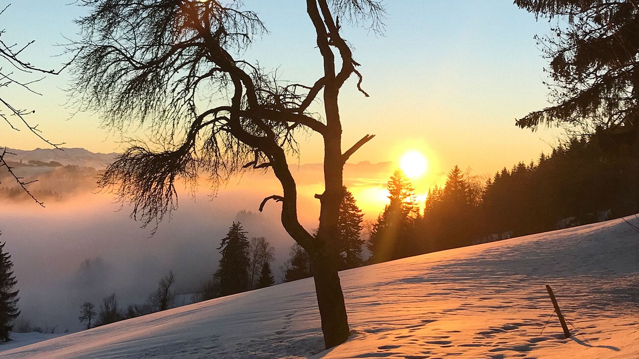 Photo of Outdoor in Gruenenbach
