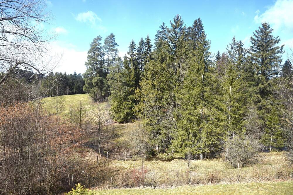 Photo of Others in Schwarzenbach
