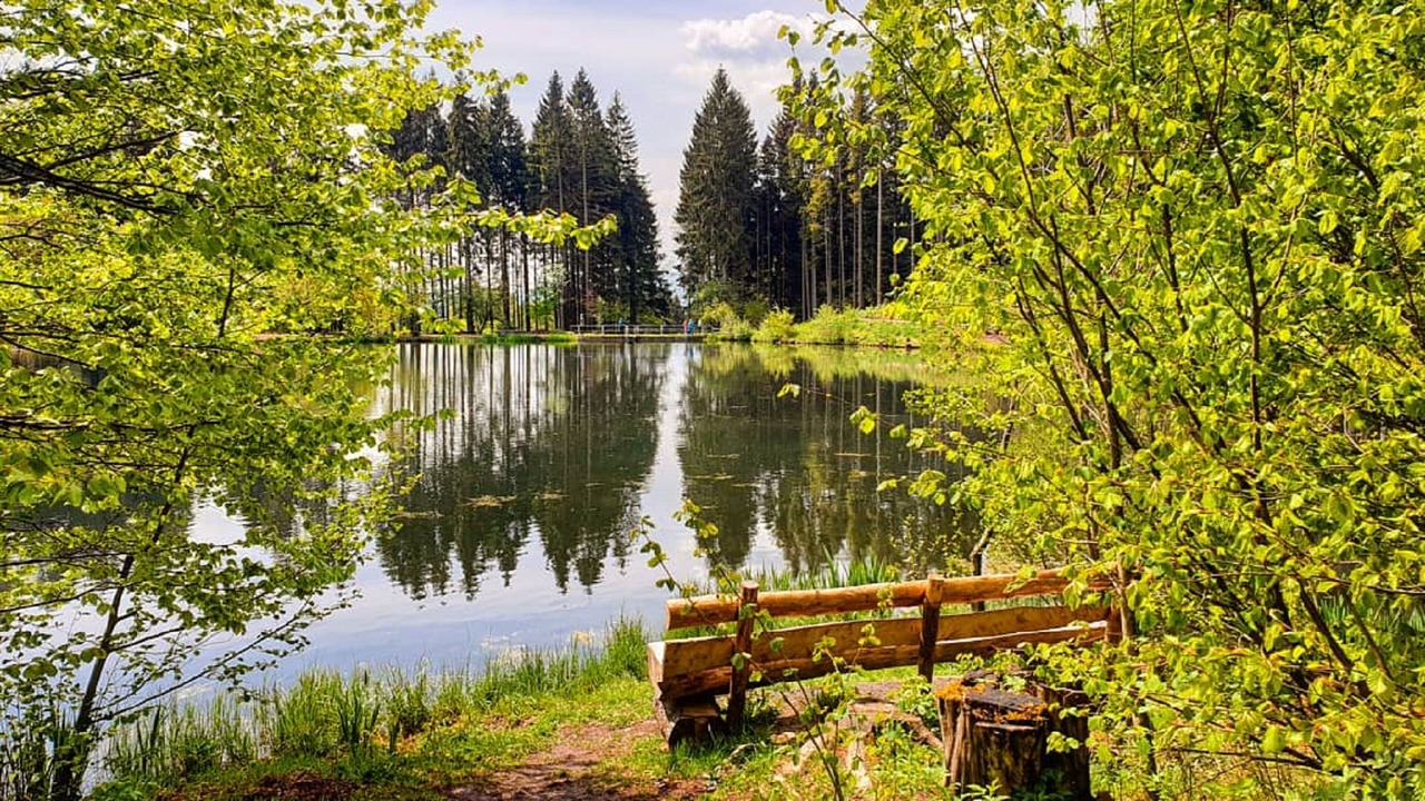 Photo of Outdoor in Wildflecken