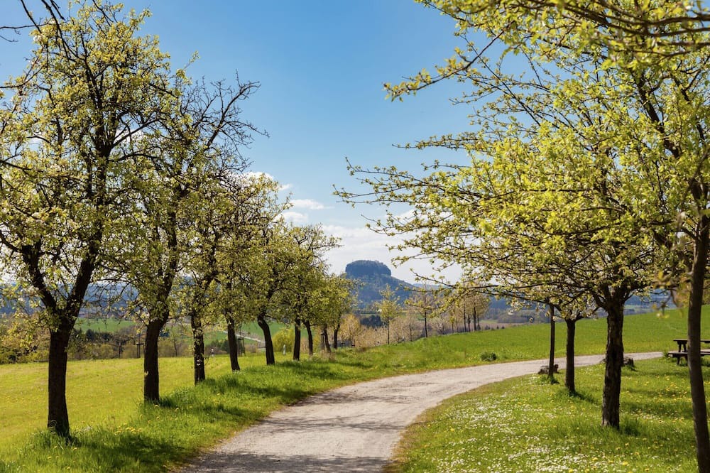 Photo of Others in Mittelndorf