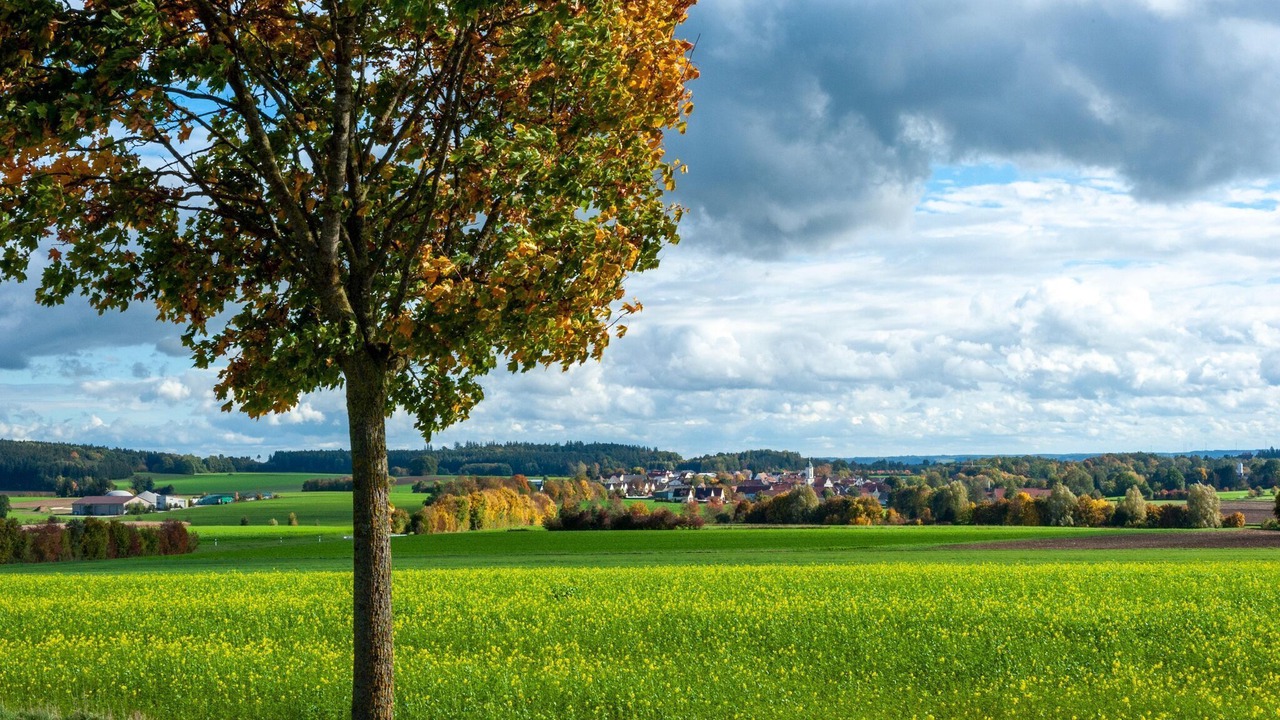 Photo of Others in Haunsheim