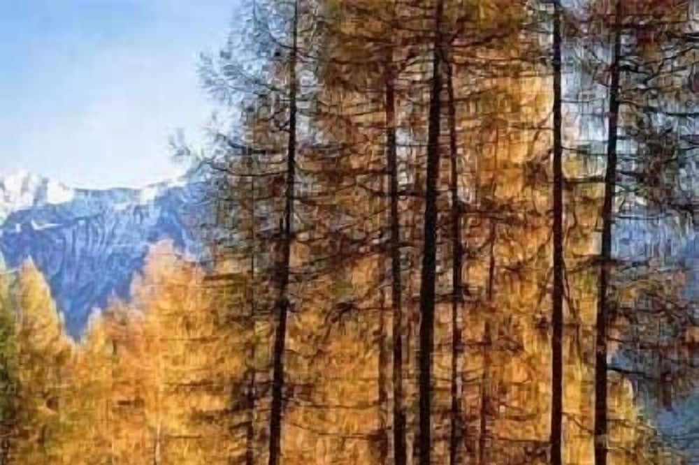 Photo of Outdoor in Imst