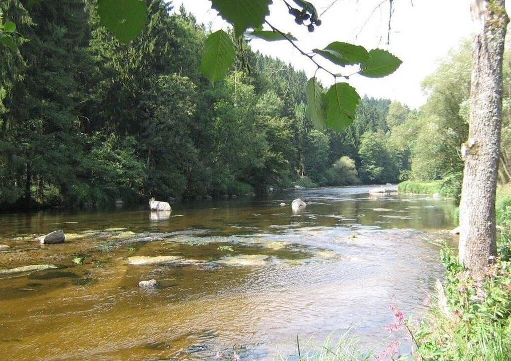 Photo of Outdoor in Kneisting