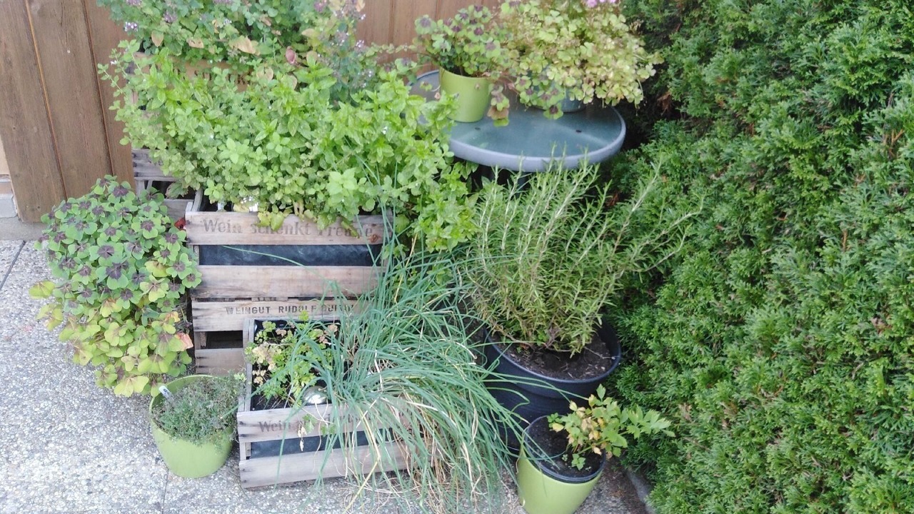 Photo of Outdoor in Kneisting