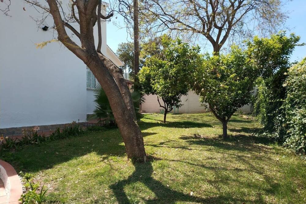 Photo of Outdoor in Torremolinos