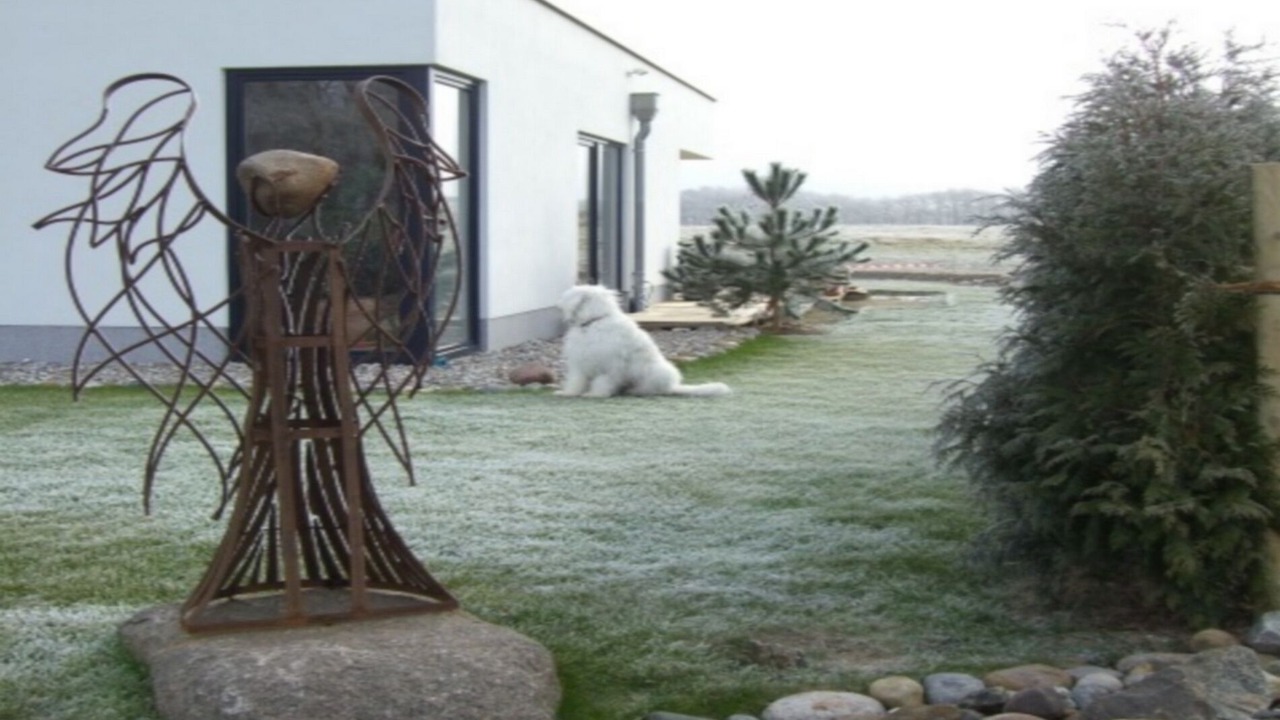 Photo of Outdoor in Wittenbeck