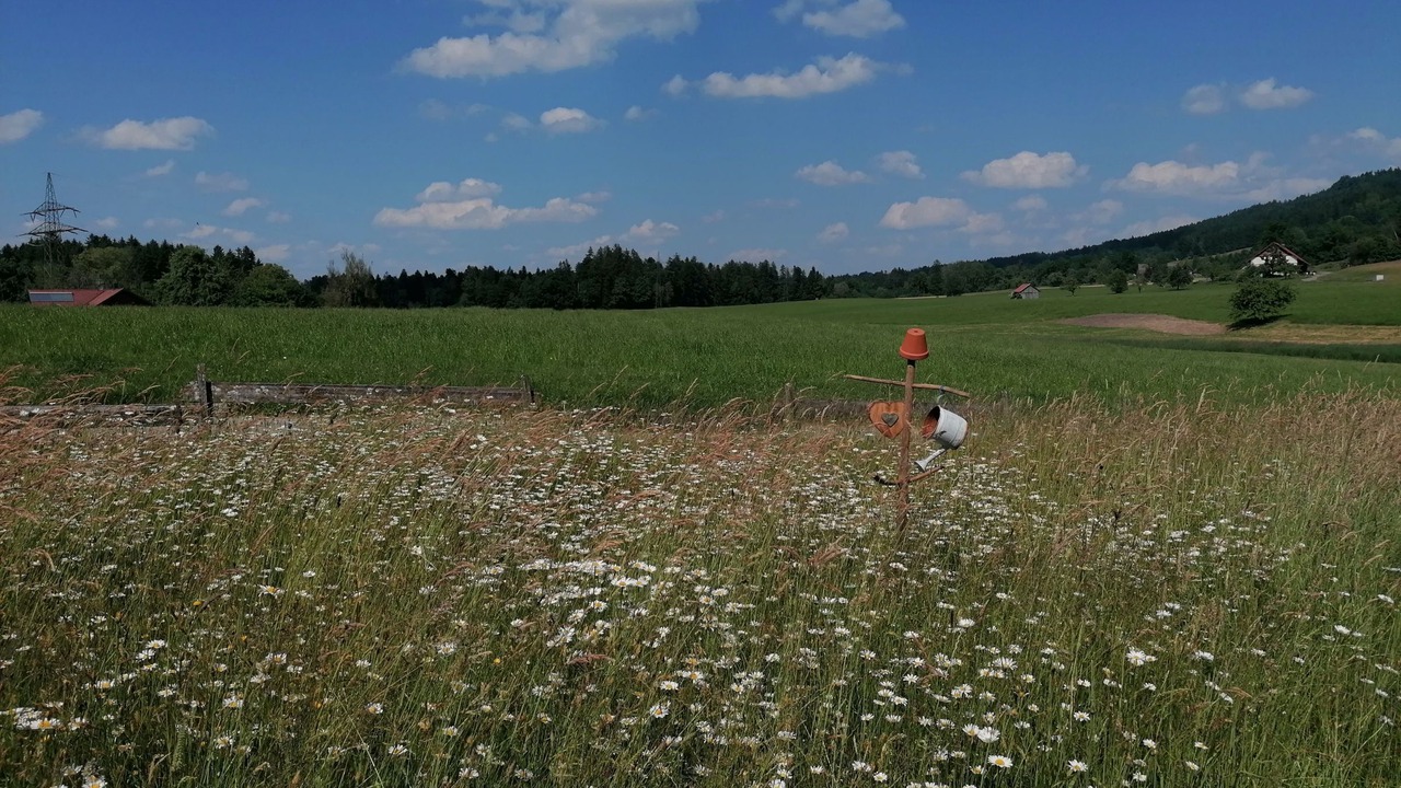 Photo of Others in Sigmarszell