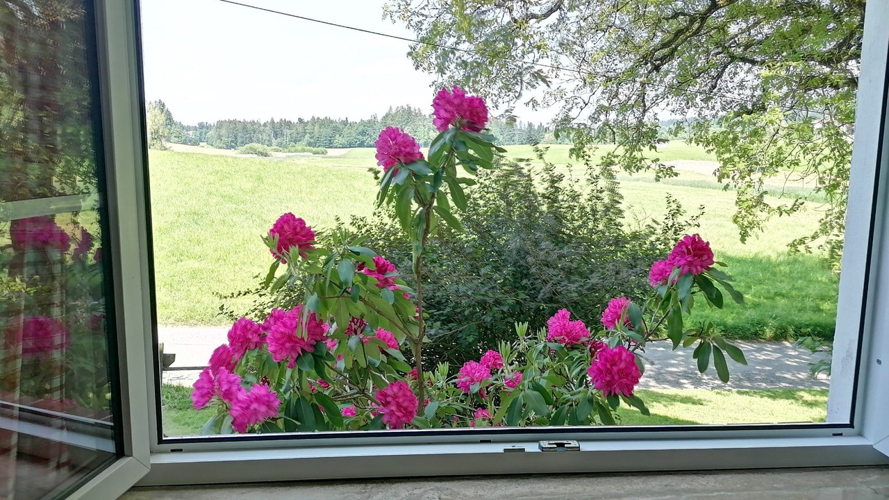 Photo of Others in Sigmarszell