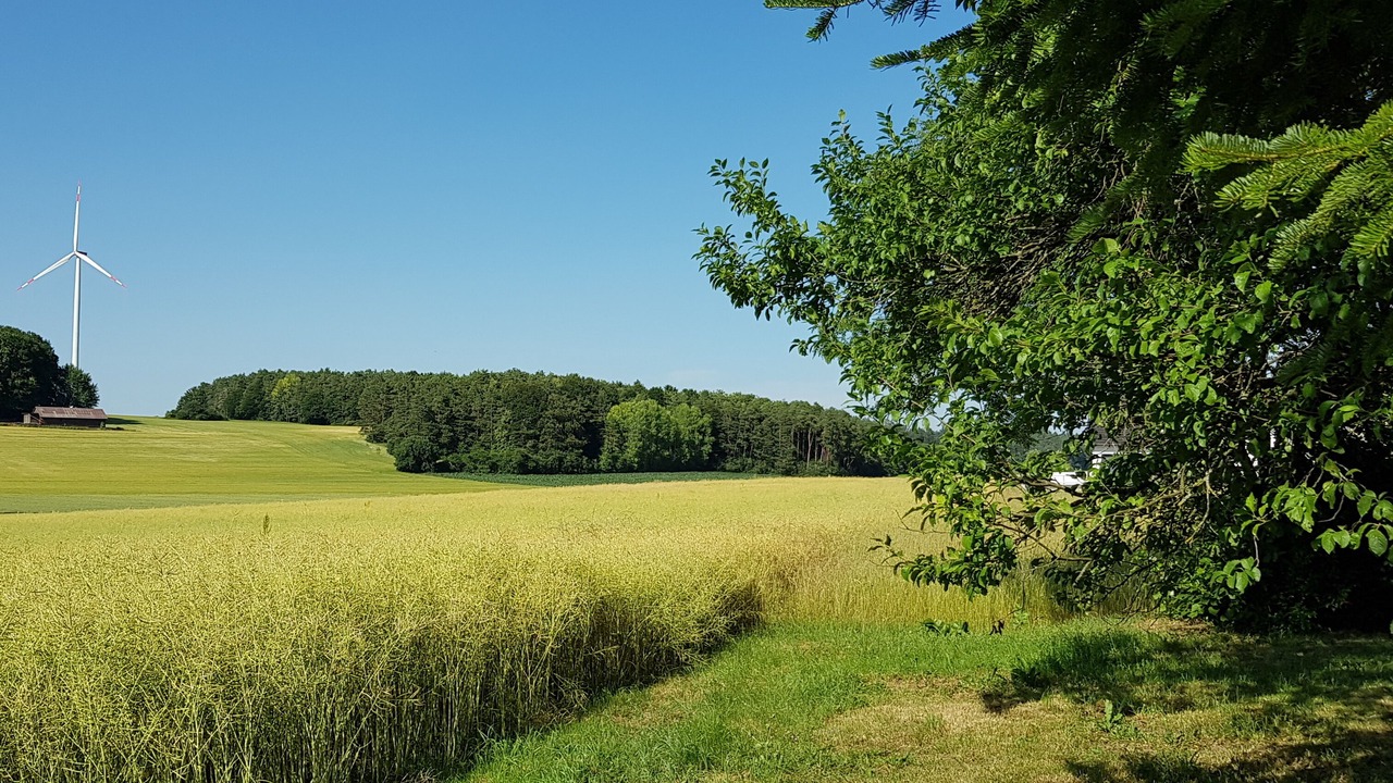 Photo of Others in Betzenstein