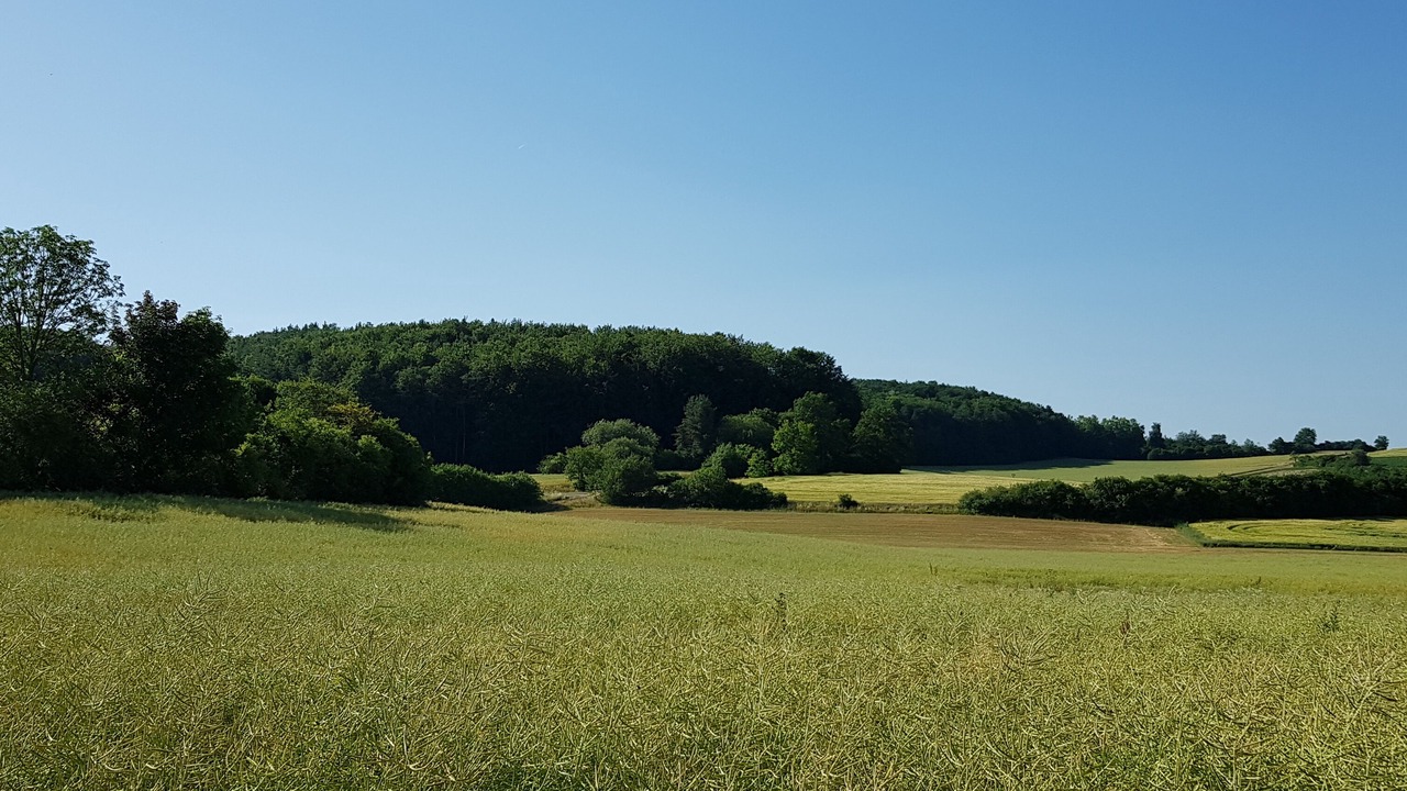 Photo of Others in Betzenstein